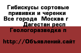 Гибискусы сортовые, прививки и черенки - Все города, Москва г.  »    . Дагестан респ.,Геологоразведка п.